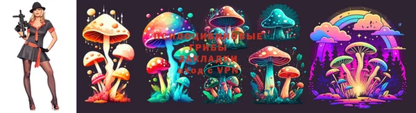 метамфетамин Богородицк